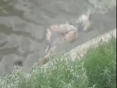 NAKED CORPSE WITHOUT HEAD FLOATING IN THE RIVER