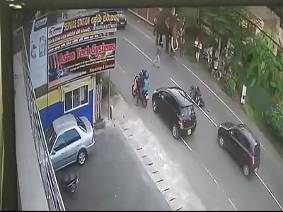 ELEPHANT WITNESS MOTORCYCLE ACCIDENT