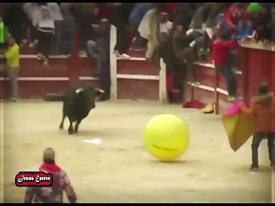 BULLFIGHTING