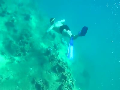 Diver gets chopped to pieces by motor propeller  