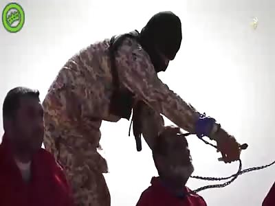 6996 #13 execution isis