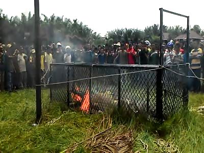 Crocodile is locked in a cage and burned alive by locals