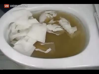 South Koreans have a really weird way of fixing a clogged toilet.