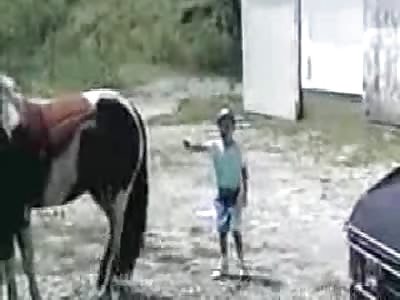 Don't Stand Behind The Horse