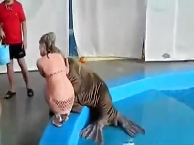 Walrus smacks that ass!