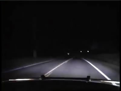 Deer literally EXPLODES as it is hit by high speed police car